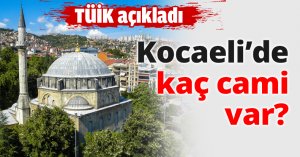Kocaeli’de kaç cami var?
