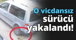 O vicdansız sürücü yakalandı!