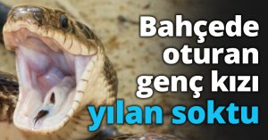 Bahçede oturan genç kızı yılan soktu