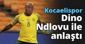 Kocaelispor Dino Ndlovu ile anlaştı