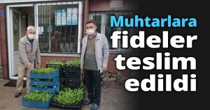 Muhtarlara fideler teslim edildi