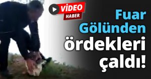 Fuar Gölünden ördekleri çaldı!