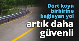 Dört köyü birbirine bağlayan yol artık daha güvenli