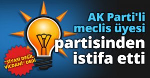 AK Parti'li meclis üyesi partisinden istifa etti