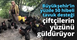 Büyükşehir’in yüzde 50 hibeli tavuk desteği çiftçilerin yüzünü güldürüyor