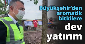 Büyükşehir’den aromatik bitkilere dev yatırım