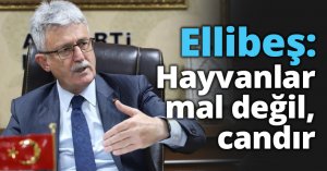 Ellibeş: Hayvanlar mal değil, candır