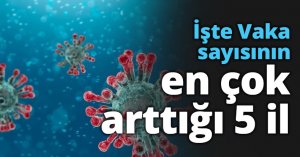 İşte Vaka sayısının en çok arttığı 5 il