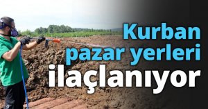 Kurban pazar yerleri ilaçlanıyor