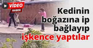Kedinin boğazına ip bağlayıp işkence yaptılar