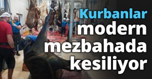 Kurbanlar modern mezbahada kesiliyor