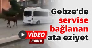 Gebze’de servise bağlana ata eziyet