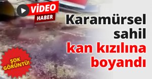 Karamürsel sahil kan kızılına boyandı