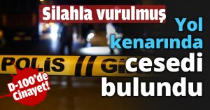 Yol kenarında cesedi bulundu