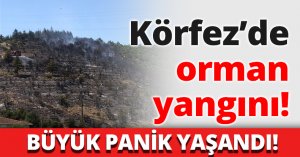 Körfez’de orman yangını!