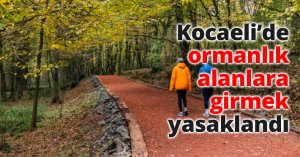 Kocaeli’de ormanlık alanlara girmek yasaklandı