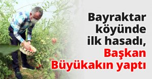 Bayraktar köyünde ilk hasadı, Başkan Büyükakın yaptı