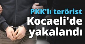 PKK'lı terörist Kocaeli'de yakalandı