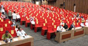 Kocaeli Sokak hayvanları için önemli adım
