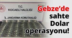 Gebze’de sahte Dolar operasyonu!