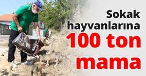 Sokak hayvanlarına 100 ton mama