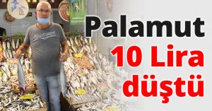 Palamut 10 Lira düştü