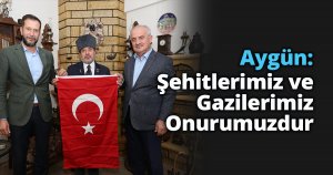 Aygün: Şehitlerimiz ve Gazilerimiz Onurumuzdur