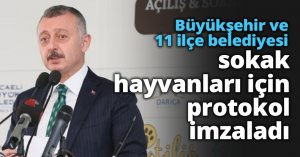 Büyükşehir ve 11 ilçe belediyesi sokak hayvanları için protokol imzaladı