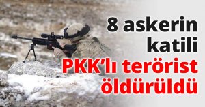8 askerin katili PKK’lı terörist öldürüldü