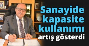 Sanayide kapasite kullanımı  artış gösterdi