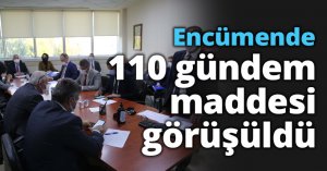 Encümende 110 gündem maddesi görüşüldü