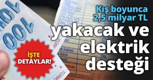 Kış boyunca 2,5 milyar TL yakacak ve elektrik desteği