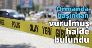 Ormanda başından vurulmuş halde bulundu