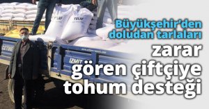 Büyükşehir’den doludan tarlaları zarar gören çiftçiye tohum desteği