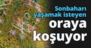 Sonbaharı yaşamak isteyen oraya koşuyor