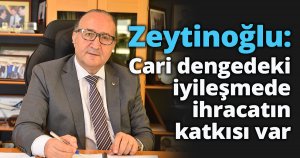 Zeytinoğlu: Cari dengedeki iyileşmede ihracatın katkısı var