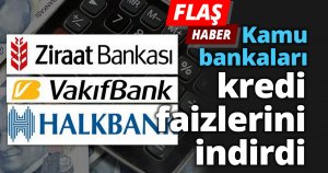 Kamu bankaları kredi faizlerini indirdi