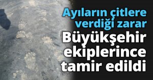 Gölete giren ayıların çitlere verdiği zarar Büyükşehir ekiplerince tamir edildi