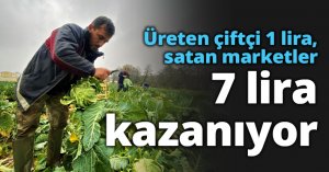 Üreten çiftçi 1 lira, satan marketler 7 lira kazanıyor