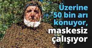 Üzerine 50 bin arı konuyor, maskesiz çalışıyor
