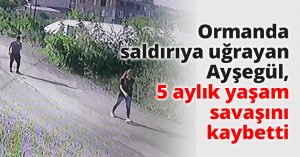 Ormanda saldırıya uğrayan Ayşegül, 5 aylık yaşam mücadelesini kaybetti