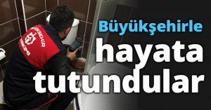 Büyükşehirle hayata tutundular