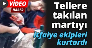 Tellere takılan martıyı itfaiye ekipleri kurtardı