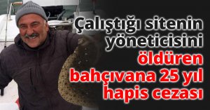 Çalıştığı sitenin yöneticisini öldüren bahçıvana 25 yıl hapis cezası