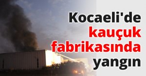 Kocaeli'de kauçuk fabrikasında yangın