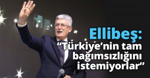 Ellibeş: “Türkiye’nin tam  bağımsızlığını istemiyorlar”