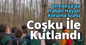 Ormanya’da Yaban Hayatı Koruma Günü Coşku İle Kutlandı