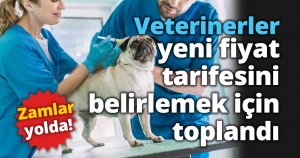 Zamlar yolda! Veterinerler yeni fiyat tarifesini belirlemek için toplandı