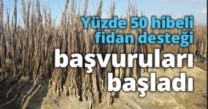 Yüzde 50 hibeli fidan desteği başvuruları başladı