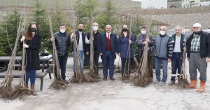 Körfezli çiftçilere 4 bin ceviz ve kiraz fidanı
